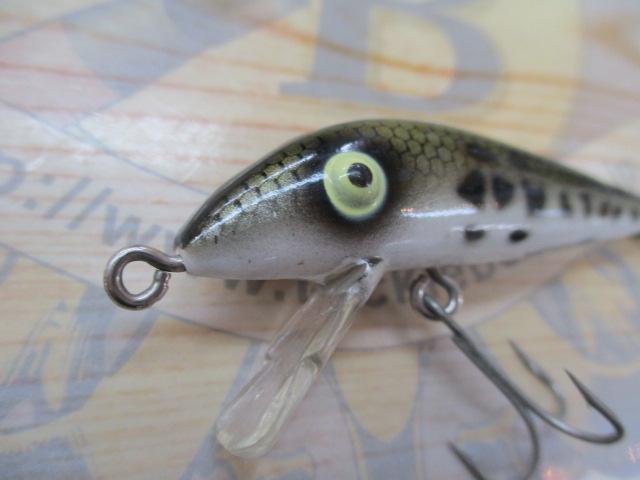 ﾍﾄﾞﾝﾀｲｶﾞｰ