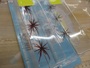 【ｾｯﾄ商品】ｺｲｹﾏｲｸﾛ(5mm)2個ｾｯﾄ