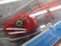 ｼﾞｮｲﾝﾃｯﾄﾞｸﾛｰｼﾌﾄ183F