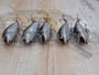 【ｾｯﾄ商品】ﾗﾊﾟﾗ ｶｳﾝﾄﾀﾞｳﾝ 7cm 5個