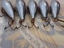 【ｾｯﾄ商品】ﾗﾊﾟﾗ ｶｳﾝﾄﾀﾞｳﾝ 7cm 5個