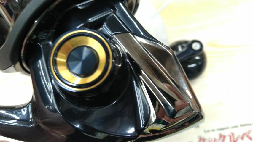 19ｽﾃﾗSW 8000HG
