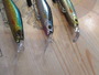 【ｾｯﾄ商品】ﾀﾛｯﾄ75Sの6個ｾｯﾄ