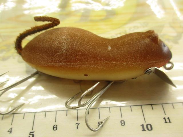 ﾒﾄﾞｳﾏｳｽ