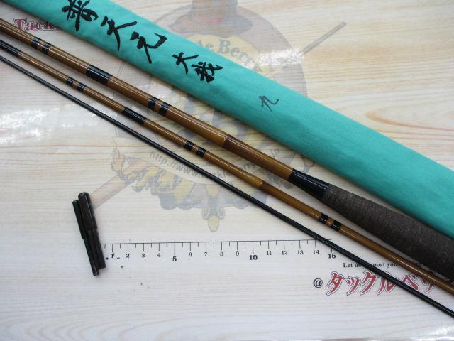普天元 大我 9