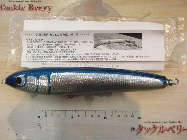GT-γ120