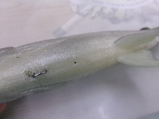 ﾊﾄﾞﾙﾄﾗｳﾄ8