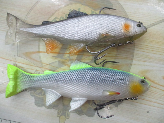 【ｾｯﾄ商品】ﾚｲｼﾞｰｽｲﾏｰｾｯﾄ