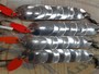 【ｾｯﾄ商品】ABU ｱﾄﾑ 12g 3/7oz 14個