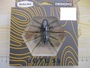 【ｾｯﾄ商品】ﾊﾞｰﾑ　ﾎﾞﾌ55 2個ｾｯﾄ