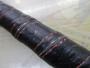 剛樹ﾏｼﾞｯｸﾊﾞｲﾄR17 1.7m LINE6-35 WEIGHT60-250