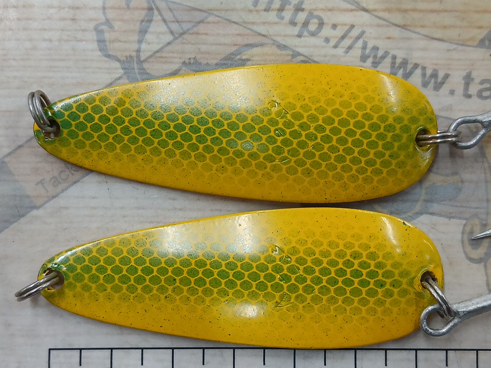 【ｾｯﾄ商品】ｸｻﾓﾝ ｲﾛｰﾅ 5個