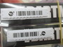 【ｾｯﾄ商品】ｴｷﾞﾘｰﾀﾞｰﾄﾏｯｸｽ2.5号④