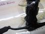 25ｲﾌﾟﾘﾐLT2000S-P