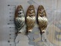 【ｾｯﾄ商品】Kala-Ralli ｽﾌﾟｰﾝ 3個