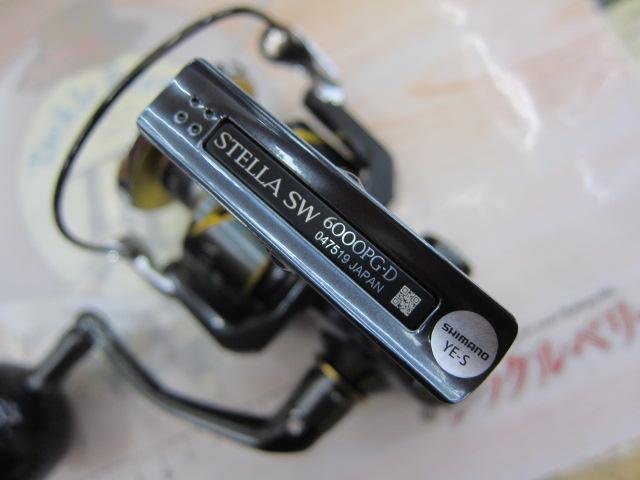 26ｽﾃﾗSW 6000PG