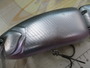 ﾀｲﾆｰｸﾗｯｼｭ