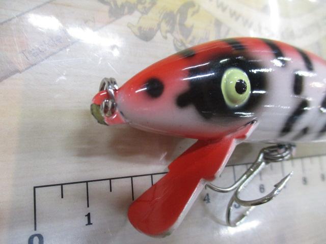 ﾀｲｶﾞｰ