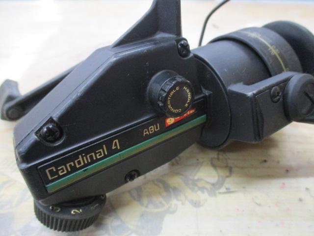 ｶｰﾃﾞｨﾅﾙ C4(ｸﾞﾘｰﾝﾗｲﾝ)