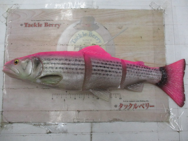ﾗｲﾝｽﾙｰﾄﾗｳﾄ40cm