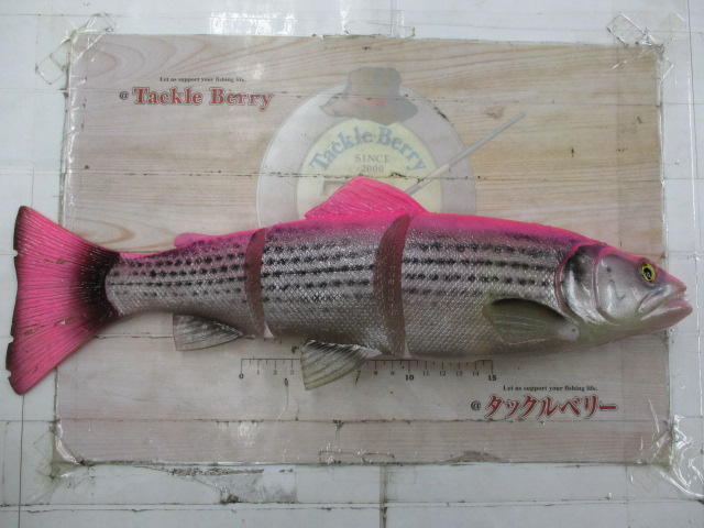 ﾗｲﾝｽﾙｰﾄﾗｳﾄ40cm