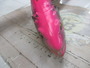 ﾗｲﾝｽﾙｰﾄﾗｳﾄ40cm