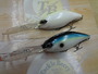 【ｾｯﾄ商品】DRTﾎﾟﾘｽ　2個ｾｯﾄ