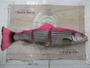 ﾗｲﾝｽﾙｰﾄﾗｳﾄ40cm