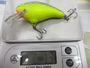 【ｾｯﾄ商品】B級ｸﾗﾝｸ2点ｾｯﾄ①