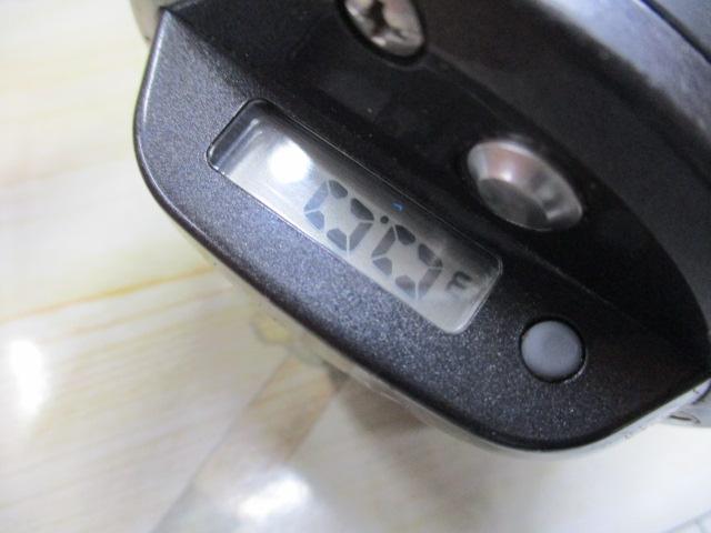 巨鯉 40W