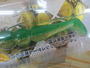 【ｾｯﾄ商品】ｼﾞｬｸｿﾝ　砂団子20g　3個ｾｯﾄ!