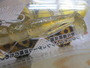 【ｾｯﾄ商品】ｼﾞｬｸｿﾝ　砂団子20g30g　3個ｾｯﾄ!