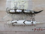 【ｾｯﾄ商品】【ﾌｧｯﾄﾗﾎﾞ】ﾈｺｿｷﾞ2点ｾｯﾄ③