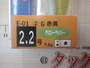 【ｾｯﾄ商品】新品ｴｷﾞ5個ｾｯﾄ