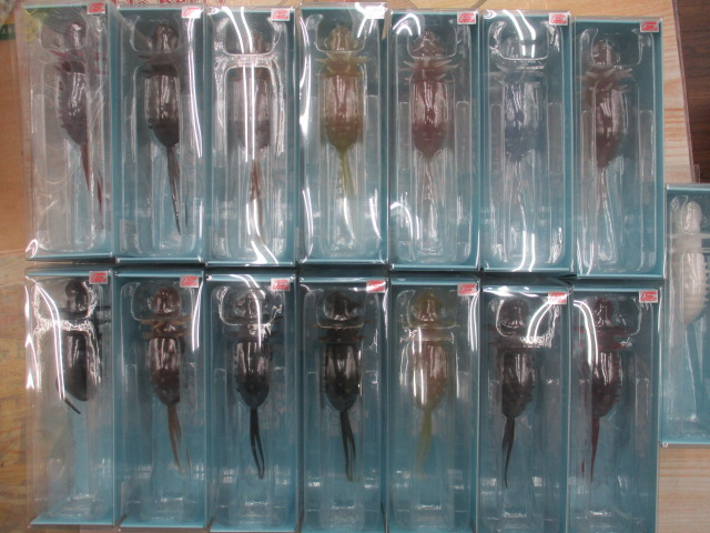 【ｾｯﾄ商品】ｺｲｹﾎﾟｯﾊﾟｰﾌﾛｯｸﾞｾｯﾄ