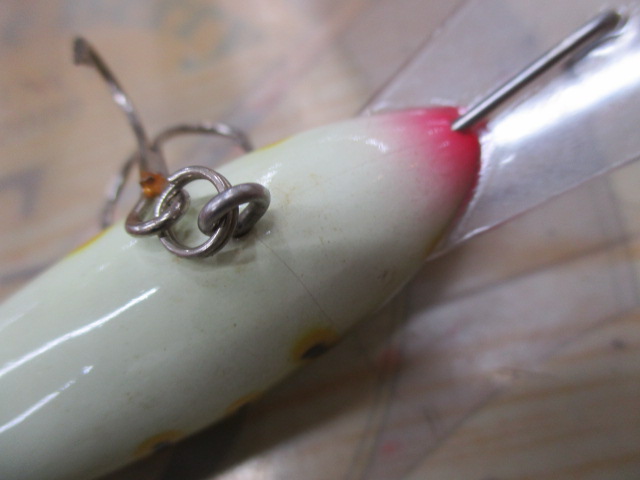 【ｾｯﾄ商品】ｻﾞｳﾙｽ ｸﾗﾝｸｶｳﾙｽ