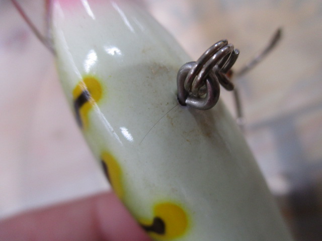 【ｾｯﾄ商品】ｻﾞｳﾙｽ ｸﾗﾝｸｶｳﾙｽ