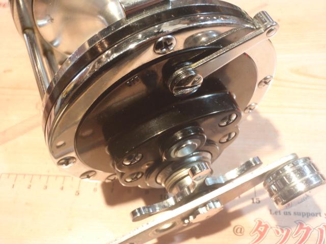 ｼｰﾗｲﾝ 6/0