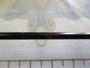 999.9ﾌｫｰﾅｲﾝﾏｲｽﾀｰ 64H-AGS ﾎﾜｲﾄｳﾙﾌ