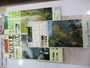 【ｾｯﾄ商品】雑誌　ﾀｯｸﾙﾎﾞｯｸｽ　ｾｯﾄ