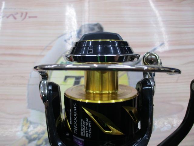19ｽﾃﾗSW 8000HG