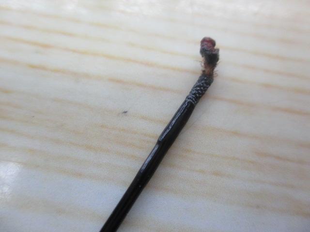 特作 魚光9.1