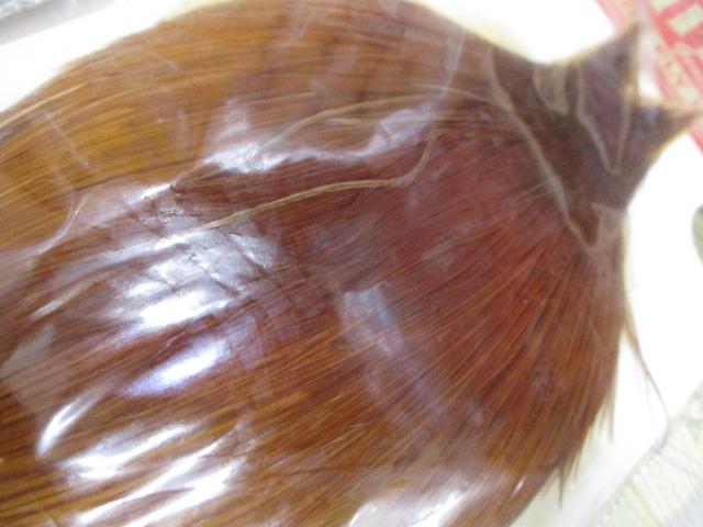 ﾌﾗｲﾏﾃﾘｱﾙ