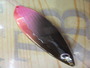 【ｾｯﾄ商品】ｱﾝﾚｰｽﾞ/ｶﾚﾝ　23g　②