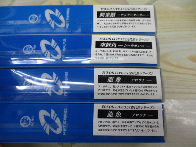 【ｾｯﾄ商品】ｴｷﾞ王ﾗｲﾌﾞ2024年限定ｶﾗｰｾｯﾄ