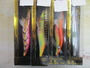 【ｾｯﾄ商品】 ﾜｲﾙﾄﾞﾁｪｲｽ3.5､4点ｾｯﾄ
