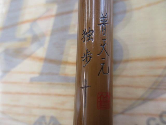 普天元 独歩 10