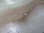 火蓮180
