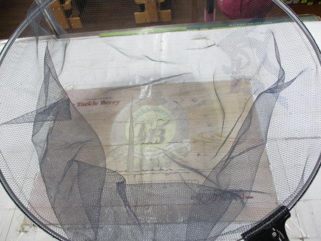 鮎ﾀﾞﾓ