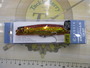ｾﾞﾙﾌｧｽ　133F